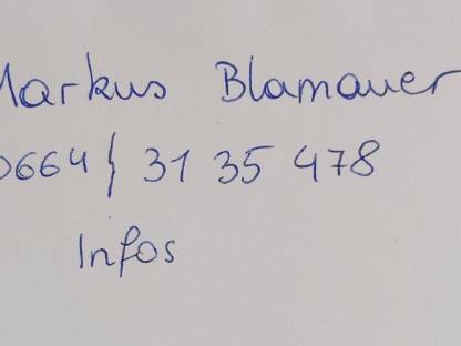 Bild 5:Siloblockschneider Mammut BO 195