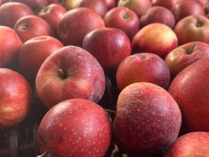 Apfel Schnaps