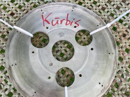 Bild 5:Monosem Säscheiben