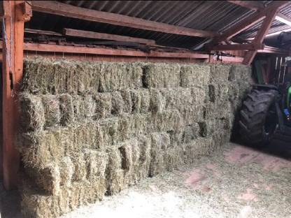 Bild 3:Heu Kleinballen