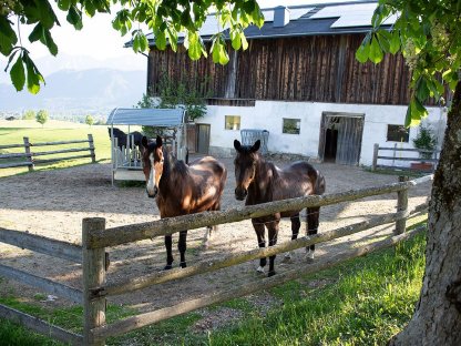 Bild 4:Bauernhaus mit Pferdehaltung und Gastronomie in Saalfelden