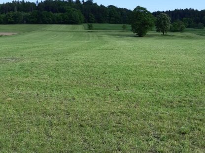 Bild 2:Wiese 4,5 ha zu verpachten ab 01.01.2026