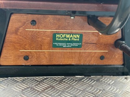 Bild 5:Trainingswagen/Wagonette Kutsche