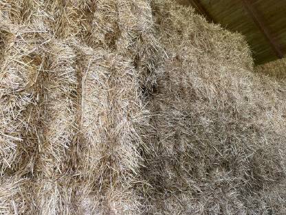 Bild 3:Heu 1. Schnitt, Altheu, Quaderballen