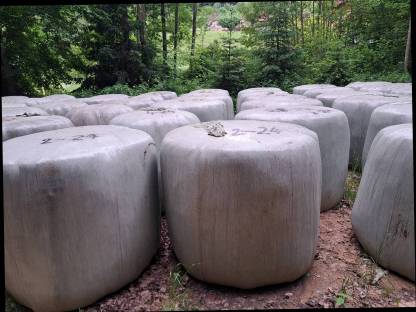 Bio-Siloballen