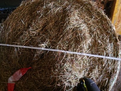 Bild 9:Heu, Heuballen, Rundballen 1. Schnitt 2024 zu verkaufen