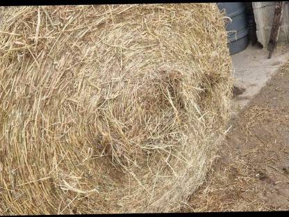 Bild 5:Heu
