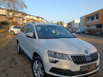 Bild 3:Skoda Karoq