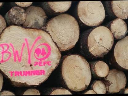 Holzernte und Vermarktung Waldhelfer Forstbetrieb Trummer