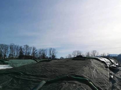 Bild 2:Gras- und Maissilage