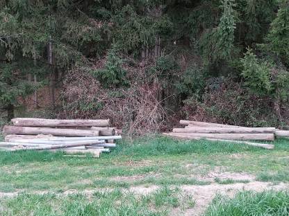 Bild 3:Wildzaun, Zaunsteher und Alu-Spanndraht