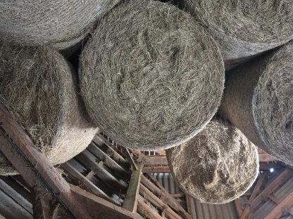 Bild 2:Heuballen 1. Schnitt 2024