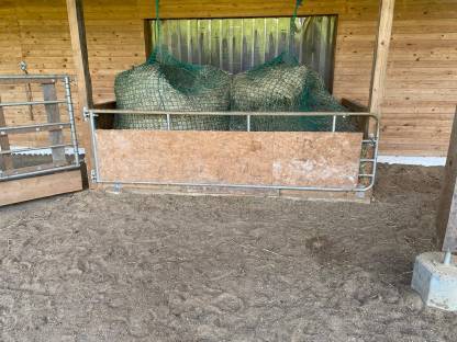 Bild 4:Fohlen-Aufzucht-Platz für 2 Hengste ab sofort