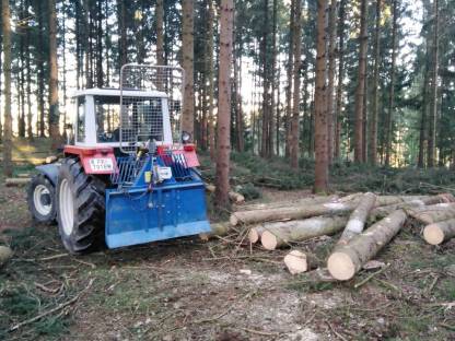 Bild 2:Holzschlägerung und Bringung