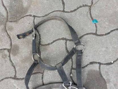 Bild 4:Shettyzubehör