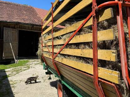 Bild 3:Steyr Ladewagen Hamster