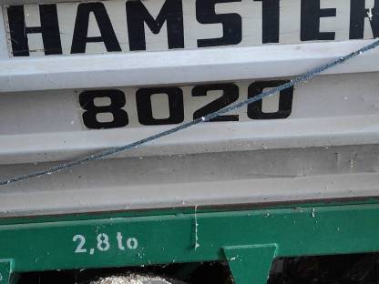 Hamster