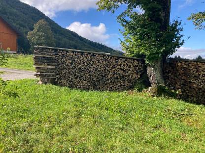 Brennholz als Meterware