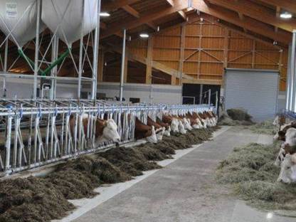 140 Watt Hallenstrahler North's LED Finnland