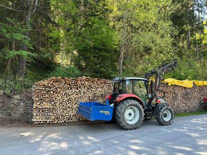 Brennholz