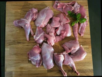 Bild 4:Reinrassige deutsche Schecken schwarz/weiß