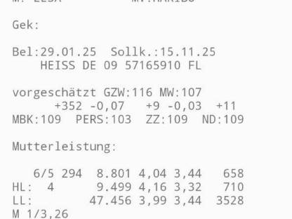 Trächtige Fleckviehzuchtkalbin
