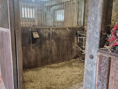 Bild 4:Pferdeboxen zu verkaufen