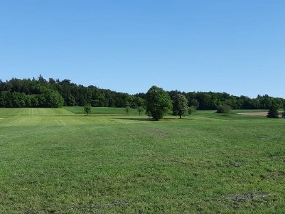 Bild 3:Wiese 4,5 ha zu verpachten ab 01.01.2026