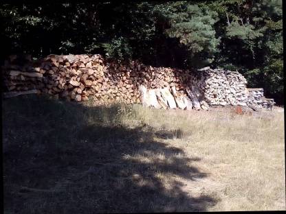 Brennholz Buche