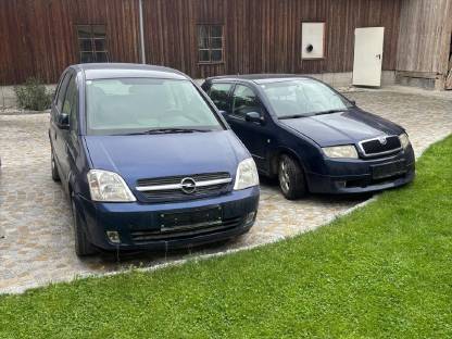 Opel und Skoda