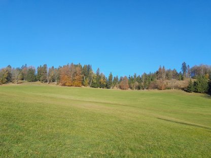 17 ha Wiesen und Wald arrondiert