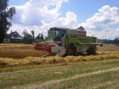 Bild 2:Biete Lohndrusch