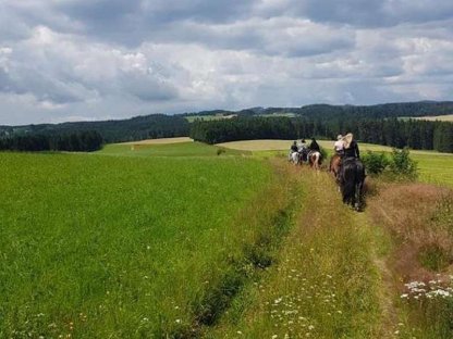 Bild 4:Einstellplätze im südlichen Waldviertel