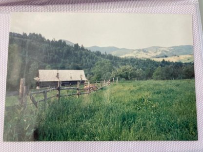 Bild 3:Hütte zu vermieten, Weideflächen zu verpachten auch möglich