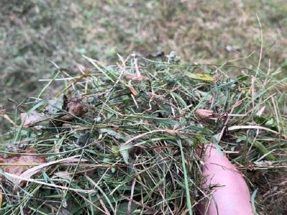 Silageballen