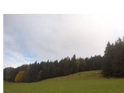 3,3 ha Grünland, Mähwiese und Weidemöglichkeit in 8102