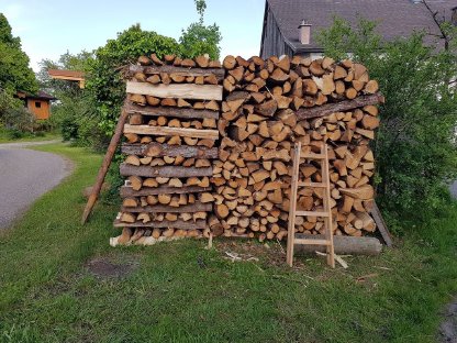 Brennholz weich/hart, Faserholz, Energieholz