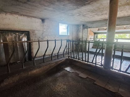 Bild 6:Aufstallung zu verkaufen