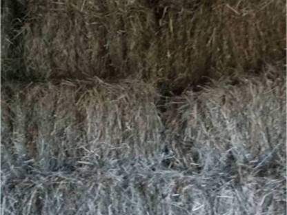 Heuballen klein