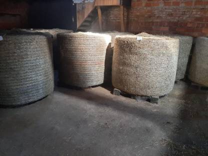 Bild 2:Bio-Heuballen