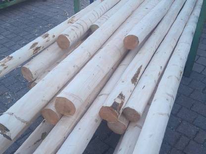 Bild 2:Frisch geschälte Holzpflöcke