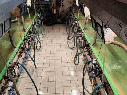 Bild 3:GEA Melkstand