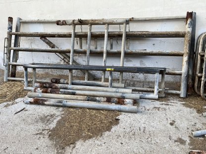 Aufstallung Rinder