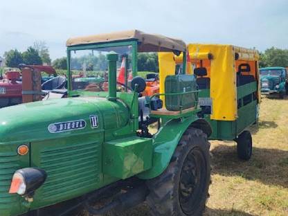 Bild 4:Steyr T180