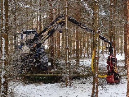 Bild 4:Durchforstungsarbeiten mit Vimek 404T und Alstor 822