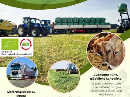 Bio Luzerne Silageballen