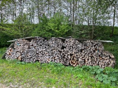 Brennholz