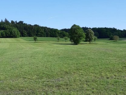Wiese 4,5 ha zu verpachten ab 01.01.2026