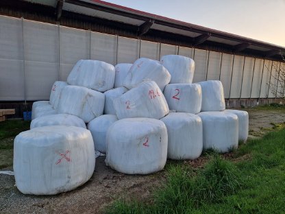 Gras-Silageballen