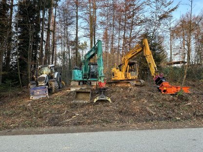 Bagger und Waldarbeiten